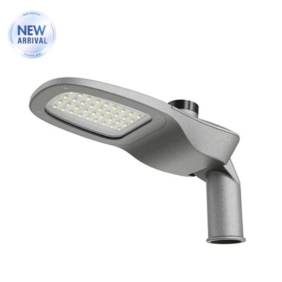 Led Streetlights RL{{0}S03P سیریز